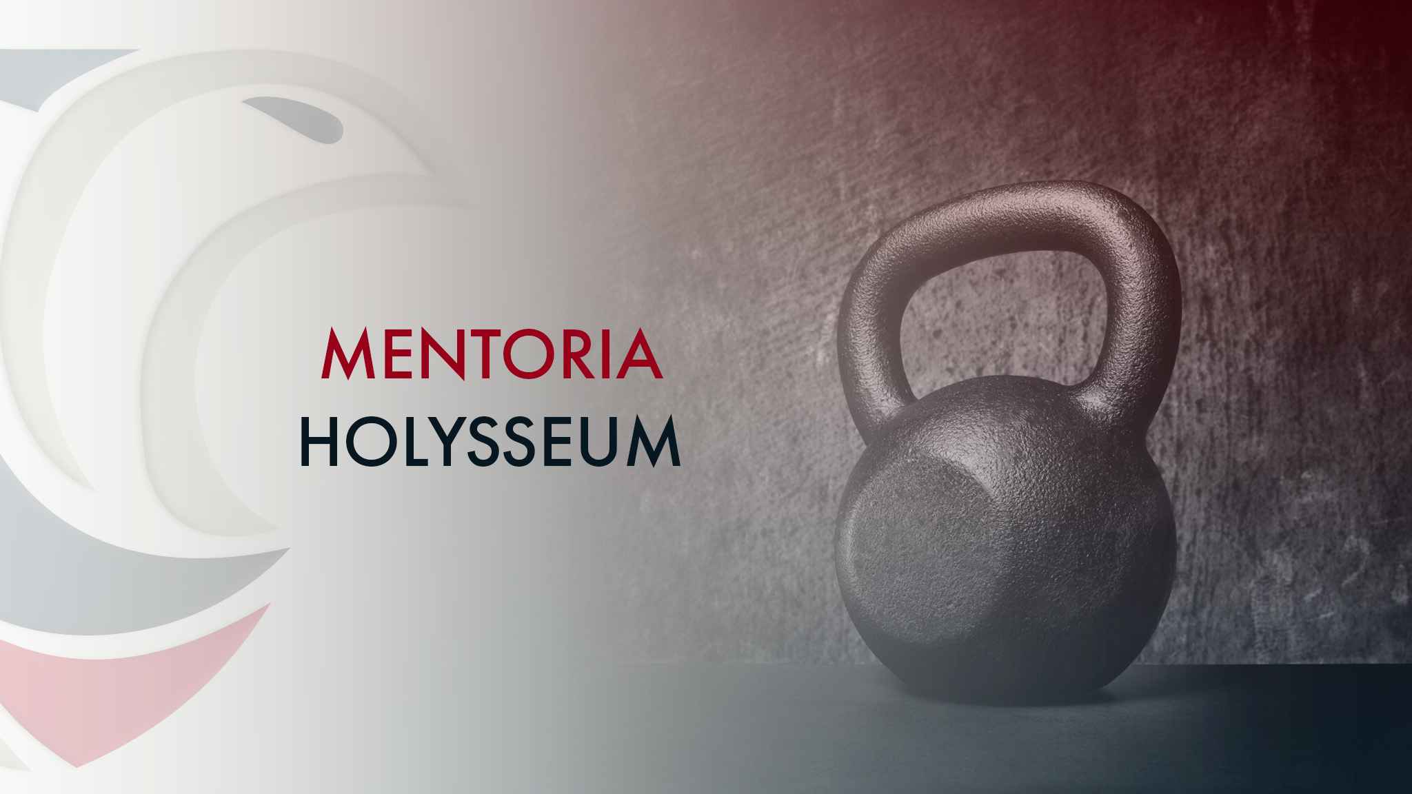 Protegido: Holysseum